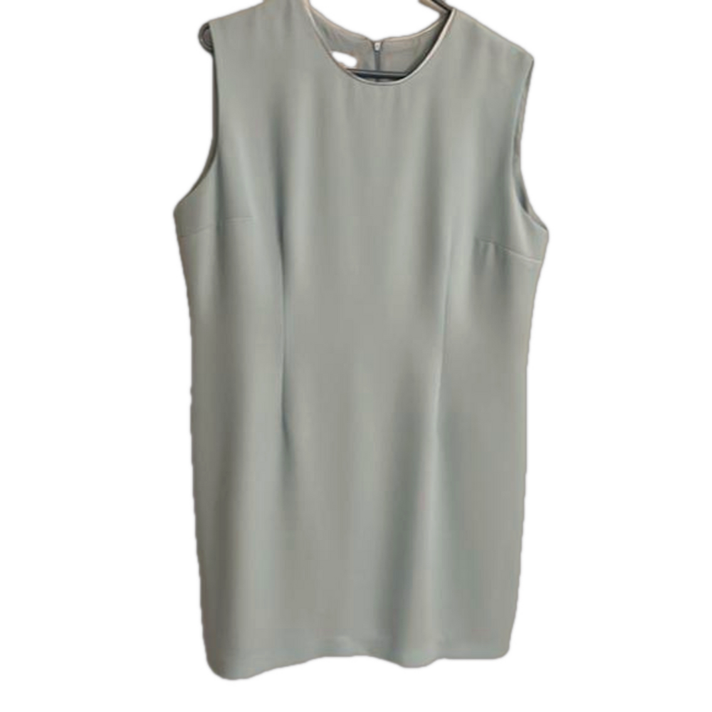 Powder Blue VI Petites sleeveless lined gorgeous dress